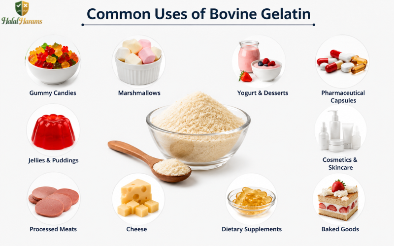 Common Uses of Bovine Gelatin