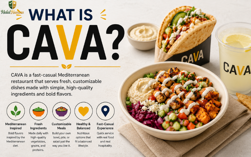 What Is CAVA Infography