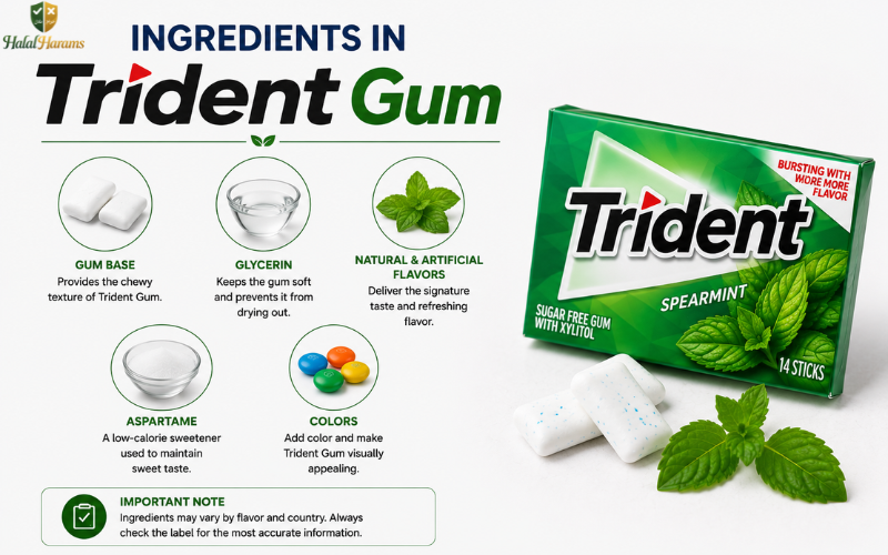 Ingredients in Trident Gum Infographic