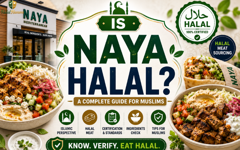 Is NAYA Halal