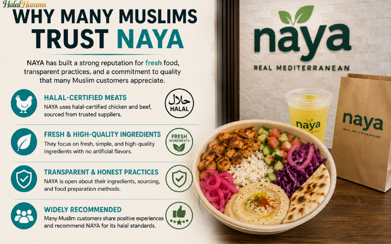 Is NAYA Halal