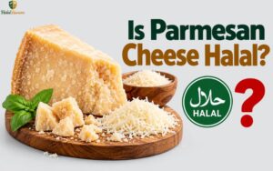 Is Parmesan Cheese Halal